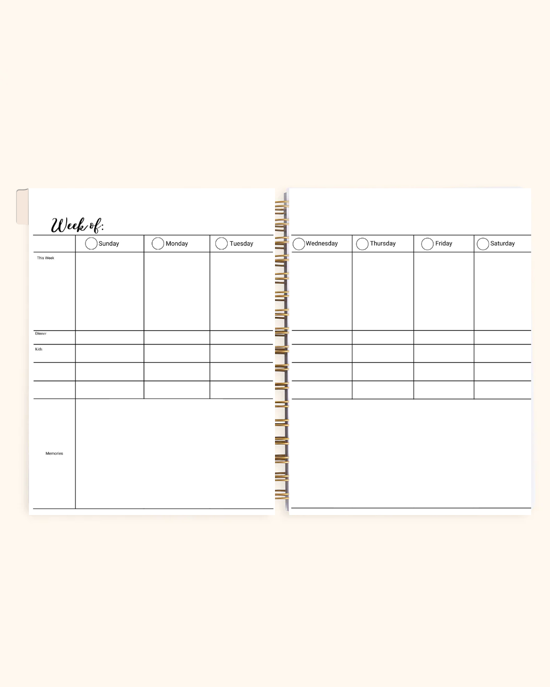 Captured Memories Planning System